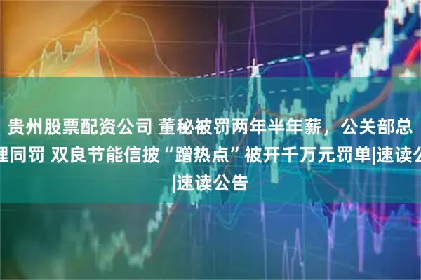 贵州股票配资公司 董秘被罚两年半年薪，公关部总经理同罚 双良节能信披“蹭热点”被开千万元罚单|速读公告